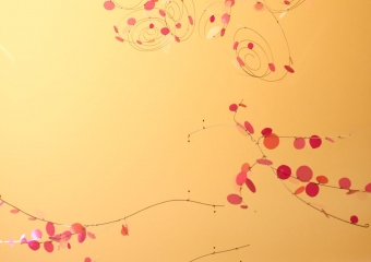 ALBERO IN ROSA 2012