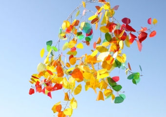 ALBERO IN GIALLO 2011