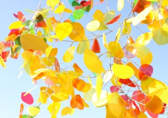 ALBERO IN GIALLO 2011