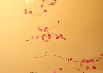 ALBERO IN ROSA 2012
