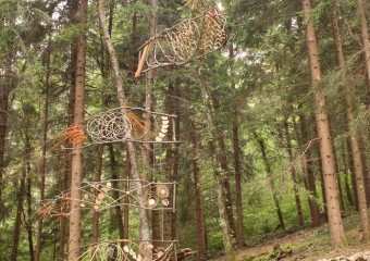 Danza Aerea per il Bosco