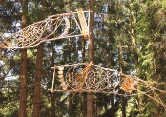 Danza Aerea per il Bosco