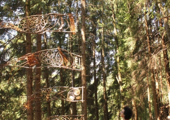Danza Aerea per il Bosco